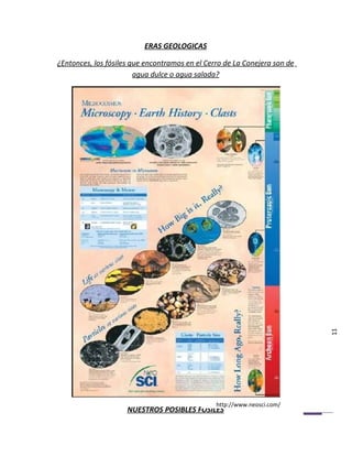 ERAS GEOLOGICAS

¿Entonces, los fósiles que encontramos en el Cerro de La Conejera son de
                        agua dulce o agua salada?




                                                                           11




                                                http://www.neosci.com/
                     NUESTROS POSIBLES FOSILES
 