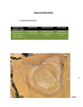 TABLAS DE RESULTADOS


         1. Estudio del Suelo del Cerro:



 ELEMENTOS QUE           TIPO DE SUELO      CARACTERIZACION          TIPO DE ROCA
FORMAN EL SUELO
 Arcillas Lacustres     Formación Tilata    Fertilidad muy baja      Sedimentaria
Cenizas Volcánicas     Consociación Cota   por alta saturación de   detrítica con tipo
  Silicio Aluminio                               Aluminio.                marga
 Lutitas Calcareas




                                                                                         11
 