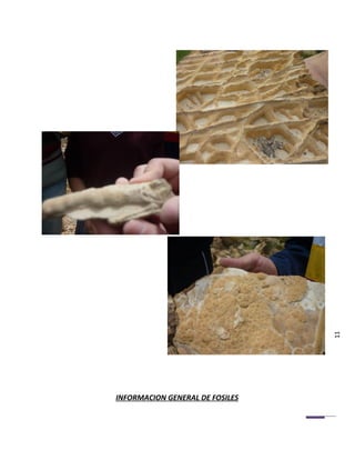 11




INFORMACION GENERAL DE FOSILES
 
