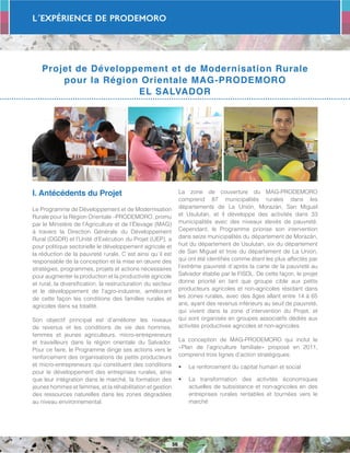 L´Expérience de PRODEMORO
56
Projet de Développement et de Modernisation Rurale
pour la Région Orientale MAG-PRODEMORO
EL SALVADOR
I. Antécédents du Projet
Le Programme de Développement et de Modernisation
Rurale pour la Région Orientale –PRODEMORO, promu
par le Ministère de l’Agriculture et de l’Élevage (MAG)
à travers la Direction Générale du Développement
Rural (DGDR) et l’Unité d’Exécution du Projet (UEP), a
pour politique sectorielle le développement agricole et
la réduction de la pauvreté rurale. C´est ainsi qu´il est
responsable de la conception et la mise en œuvre des
stratégies, programmes, projets et actions nécessaires
pour augmenter la production et la productivité agricole
et rural, la diversification, la restructuration du secteur
et le développement de l’agro-industrie, améliorant
de cette façon les conditions des familles rurales et
agricoles dans sa totalité.
Son objectif principal est d’améliorer les niveaux
de revenus et les conditions de vie des hommes,
femmes et jeunes agriculteurs, micro-entrepreneurs
et travailleurs dans la région orientale du Salvador.
Pour ce faire, le Programme dirige ses actions vers le
renforcement des organisations de petits producteurs
et micro-entrepreneurs qui constituent des conditions
pour le développement des entreprises rurales, ainsi
que leur intégration dans le marché, la formation des
jeunes hommes et femmes, et la réhabilitation et gestion
des ressources naturelles dans les zones dégradées
au niveau environnemental.
La zone de couverture du MAG-PRODEMORO
comprend 87 municipalités rurales dans les
départements de La Unión, Morazán, San Miguel
et Usulutan, et il développe des activités dans 33
municipalités avec des niveaux élevés de pauvreté.
Cependant, le Programme priorise son intervention
dans seize municipalités du département de Morazán,
huit du département de Usulutan, six du département
de San Miguel et trois du département de La Union,
qui ont été identifiés comme étant les plus affectés par
l’extrême pauvreté d´après la carte de la pauvreté au
Salvador établie par le FISDL. De cette façon, le projet
donne priorité en tant que groupe cible aux petits
producteurs agricoles et non-agricoles résidant dans
les zones rurales, avec des âges allant entre 14 à 65
ans, ayant des revenus inférieurs au seuil de pauvreté,
qui vivent dans la zone d´intervention du Projet, et
qui sont organisés en groupes associatifs dédiés aux
activités productives agricoles et non-agricoles.
La conception de MAG-PRODEMORO qui inclut le
«Plan de l’agriculture familiale» proposé en 2011,
comprend trois lignes d’action stratégiques:
•	 Le renforcement du capital humain et social
•	 La transformation des activités économiques
actuelles de subsistance et non-agricoles en des
entreprises rurales rentables et tournées vers le
marché
 