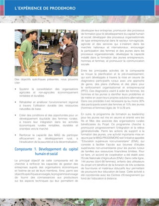L´Expérience de PRODEMORO
58
Des objectifs spécifiques présentés, nous pouvons
citer:
•	 Soutenir la consolidation des organisations
agricoles et non-agricoles économiquement
rentables et durables.
•	 Réhabiliter et améliorer l’environnement régional
à travers l’utilisation durable des ressources
naturelles de base.
•	 Créer des conditions et des opportunités pour un
développement équitable des femmes rurales,
à travers leur intégration dans les activités
économiques rurales rentables, durables et
orientées vers le marché.
•	 Renforcer la capacité des MAG de participer
efficacement au développement rural, à
l’éradication de la pauvreté et à la décentralisation.
Composante 1. Développement du capital
humain et social
Le principal objectif de cette composante est de
chercher à renforcer les capacités de gestion des
entreprises auprès des organisations économiques
et l’estime de soi de leurs membres. Ainsi, parmi ses
objectifsspécifiquesenvisagés,leprogrammeenvisage
de: fournir des connaissances aux producteurs
sur les aspects techniques qui leur permettent de
développer leur entreprise; promouvoir des processus
de formation pour le développement du capital humain
et social; développer des processus organisationnels
de type entrepreneurial dans le secteur non-agricole,
agricole et des services qui s´insèrent dans les
marchés nationaux et internationaux; encourager
la participation des femmes et des jeunes dans les
processus organisationnels; développer la capacité
installé dans la formation des jeunes entrepreneurs,
hommes et femmes; et promouvoir la communication
sociale.
Entre les principales activités de la composante
se trouve la planification et le pré-investissement,
qui sont développés à travers la mise en oeuvre de
diagnostics participatifs ruraux avec une approche
de genre, des plans d’affaires et des plans pour
le renforcement organisationnel et entrepreneurial
(PFO). Ces diagnostics visent à aider les femmes, les
hommes et les jeunes à identifier leurs problèmes et
de mettre en avant leurs propres solutions alternatives.
Dans ces procédés il est nécessaire qu’au moins 30%
des participants soient des femmes et 15% des jeunes
(hommes et femmes) âgés de 14 à 29 ans.
En outre, le programme de formation au leadership
pour les jeunes est mis en oeuvre et orienté vers les
fils et filles des associés des organisations rurales
bénéficiaires du Projet. Ce programme cherche à
promouvoir progressivement l’intégration et la relève
générationnelle. Parmi les actions de support à la
formation des jeunes, une activité importante mise en
œuvre par le MAG-PRODEMORO est l’initiative appelée
“Éducation supérieure non-universitaire” (ENA), qui
consiste à faciliter l’accès aux bourses d’études
supérieures non-universitaires pour les jeunes ruraux
de familles aux ressources financières limitées. Pour
ce faire, un accord de coopération a été établi avec
l’Ecole Nationale d’Agriculture (ENA). Dans cette ligne,
144 jeunes (dont 68 femmes), enfants des utilisateurs
du projet ont bénéficié de la livraison de kits scolaires
de fournitures et matériaux éducatifs leur permettant
de poursuivre leur éducation de base. Cette activité a
été coordonnée avec les Centres d’Enseignement qui
fond de l´éducation à distance.
 