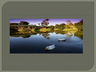 Bitácora Bogota Jardín Botánico 