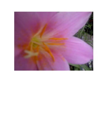 Bitacoras de español