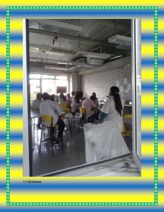 11°SEMANA
 