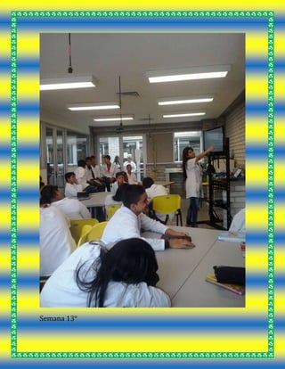 Semana 13°
 