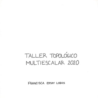 Bitacora taller topologico multiescalar 2020