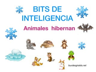 BITS DE
INTELIGENCIA
Animales hibernan
lourdesgiraldo.net
 