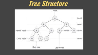 Tree Structure
 
