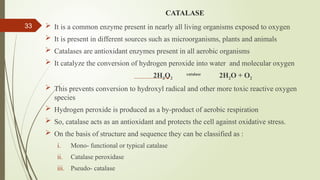 typical catalases: function and structure | intechopen... Introduction to Pharmaceutical Biotechnology | PPTX