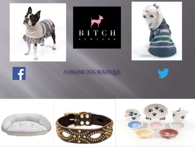 designer dog shop