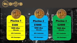 Piscina 1
$500
1000 dias
Minando
50% Comissões
50% Recompra
Piscina 2
$1000
Minando
1000 dias
60% Comissões
40% Recompra
Piscina 3
$2000
1000 dias
Minando
70% Comissões
30% Recompra
 