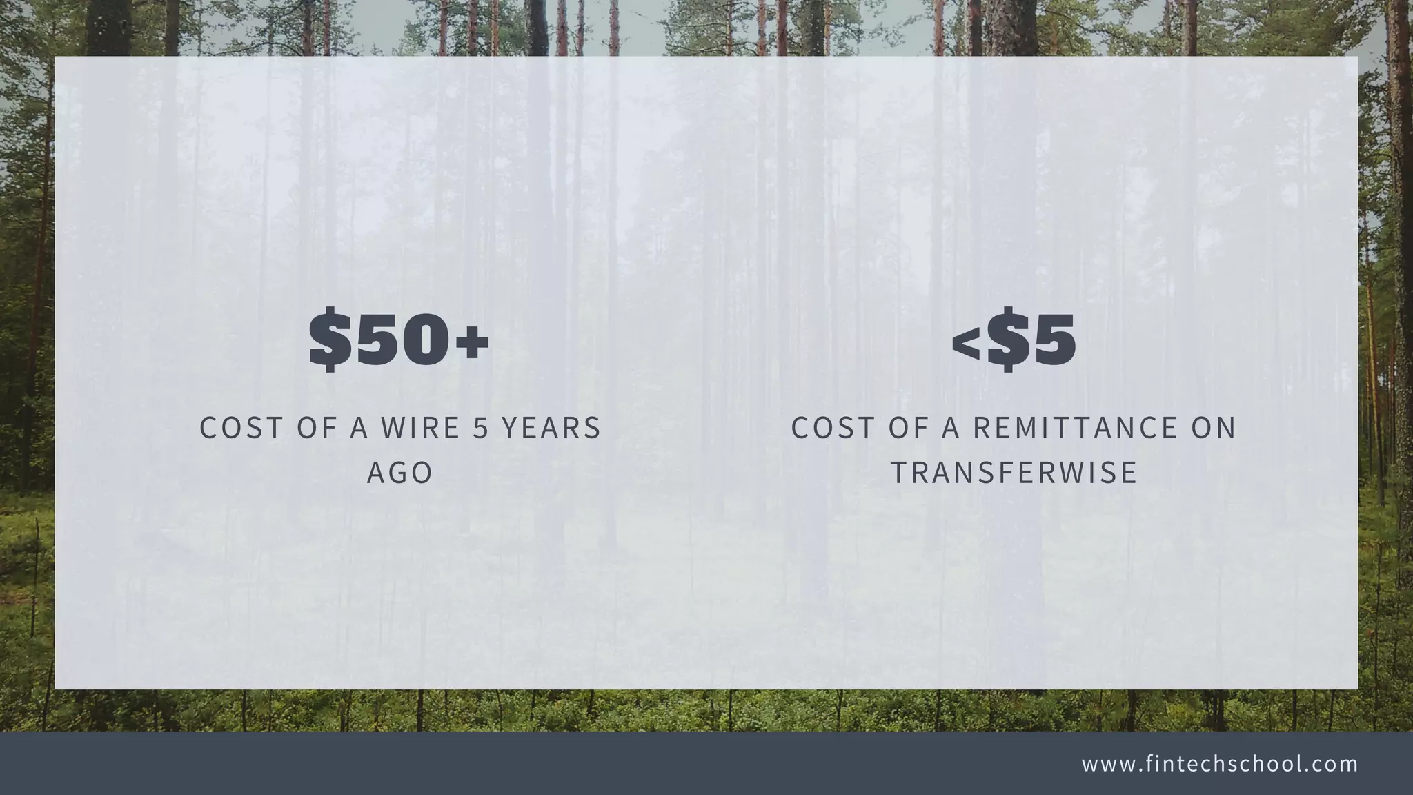 www.fintechschool.com
<$5
COST OF A REMITTANCE ON
TRANSFERWISE
$50+
COST OF A WIRE 5 YEARS
AGO
 