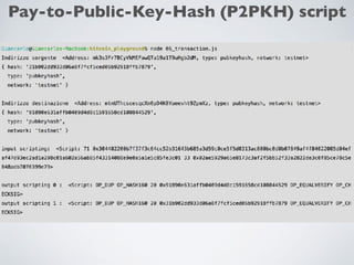 Pay-to-Public-Key-Hash (P2PKH) script
 