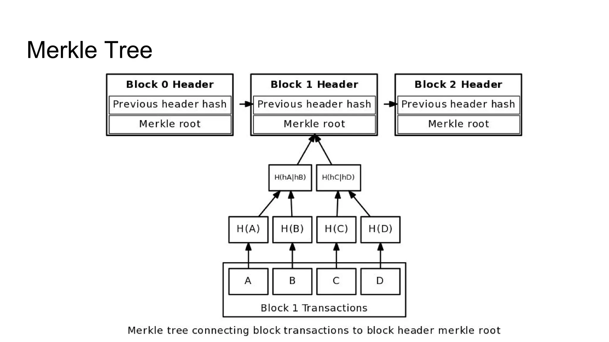 Merkle Tree
 