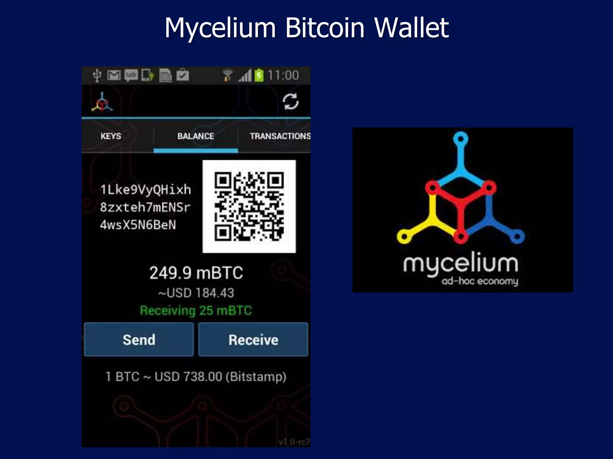 The Future of Digital Currencies | PPTX