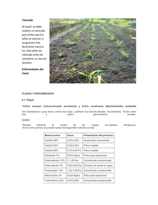 Tutorado
Al clavel se debe
realizar un tutorado
para evitar que los
tallos se tuerzan; y
así guiarlos más
fácilmente hacia la
luz. Este debe ser
colocado antes de
completar un mes de
siembra.
Enfermedades del
clavel

PLAGAS Y ENFERMEDADES
8.1. Plagas
-Tortrix europeo (Cacoecimorpha pronubana) y tortrix surafricana (Epichoristodes acerbella)
Son lepidópteros cuyas larvas comen las hojas y perforan los botones florales, devorándolos. Tienen entre
tres
y
cuatro
generaciones
anuales.
Control.
-Resulta
eficiente
el
control
de
las
orugas
-En la lucha química se pueden aplicar las siguientes materias activas:

con Bacillus

Materia activa

Dosis

Presentación del producto

Carbaril 48%

0.25-0.30%

Suspensión concentrada

Carbaril 50%

0.20-0.30%

Polvo mojable

Carbaril 85%

0.10-0.20%%

Polvo mojable

Dimetoato 3%

20-30 Kg/ha

Polvo para espolvoreo

Esfenvalerato 2.5%

1-1.20 l/ha

Concentrado emulsionadle

Esfenvalerato 5%

0.50-0.60 l/ha Emulsión de aceite en agua

Fenpropatrin 10%

1.25-1.50 l/ha Concentrado emulsionadle

Metil Azinfos 3%

20-30 Kg/ha

Polvo para espolvoreo

Tralometrina 3.6%

0.03-0.08%

Concentrado emulsionadle

thurigiensis.

 