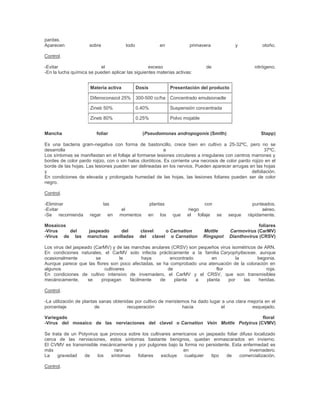 pardas.
Aparecen

sobre

todo

en

primavera

y

otoño.

Control.
-Evitar
el
exceso
-En la lucha química se pueden aplicar las siguientes materias activas:

de

Materia activa
Difenoconazol 25%

300-500 cc/ha Concentrado emulsionadle

Zineb 50%

0.40%

Suspensión concentrada

Zineb 80%
Mancha

Dosis

0.25%

nitrógeno.

Polvo mojable

foliar

Presentación del producto

(Pseudomonas andropogonis (Smith)

Stapp)

Es una bacteria gram-negativa con forma de bastoncillo, crece bien en cultivo a 25-32ºC, pero no se
desarrolla
a
37ºC.
Los síntomas se manifiestan en el follaje al formarse lesiones circulares a irregulares con centros marrones y
bordes de color pardo rojizo, con o sin halos cloróticos. Es corriente una necrosis de color pardo rojizo en el
borde de las hojas. Las lesiones pueden ser delineadas en los nervios. Pueden aparecer arrugas en las hojas
y
defoliación.
En condiciones de elevada y prolongada humedad de las hojas, las lesiones foliares pueden ser de color
negro.
Control.
-Eliminar
-Evitar
-Se recomienda
Mosaicos
-Virus
del
-Virus de las

las
regar

en

plantas
el
momentos

jaspeado
del
manchas anilladas

en

los

que

con
riego
el follaje se

clavel
o Carnation
del clavel o Carnation

Mottle
Ringspot

seque

punteados.
aéreo.
rápidamente.

foliares
Carmovirus (CarMV)
Dianthovirus (CRSV)

Los virus del jaspeado (CarMV) y de las manchas anulares (CRSV) son pequeños virus isométricos de ARN.
En condiciones naturales, el CarMV solo infecta prácticamente a la familia Caryophyllaceae, aunque
ocasionalmente
se
le
haya
encontrado
en
la
begonia.
Aunque parece que las flores son poco afectadas, se ha comprobado una atenuación de la coloración en
algunos
cultivares
de
flor
roja.
En condiciones de cultivo intensivo de invernadero, el CarMV y el CRSV, que son transmisibles
mecánicamente,
se
propagan
fácilmente
de
planta
a
planta
por
las
heridas.
Control.
-La utilización de plantas sanas obtenidas por cultivo de meristemos ha dado lugar a una clara mejoría en el
porcentaje
de
recuperación
hacia
el
esquejado.
Variegado
floral
-Virus del mosaico de las nerviaciones del clavel o Carnation Vein Mottle Potyirus (CVMV)
Se trata de un Potyvirus que provoca sobre los cultivares americanos un jaspeado foliar difuso localizado
cerca de las nerviaciones, estos síntomas bastante benignos, quedan enmascarados en invierno.
El CVMV es transmisible mecánicamente y por pulgones bajo la forma no persistente. Esta enfermedad es
más
rara
en
invernadero.
La
gravedad
de
los
síntomas
foliares
excluye
cualquier
tipo
de
comercialización.
Control.

 
