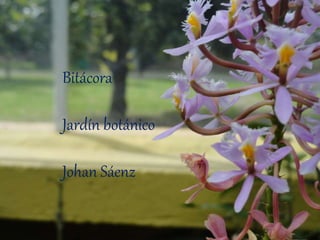 BITÁCORA
JARDÍN BOTÁNICO
Bitácora
Jardín botánico
Johan Sáenz
 