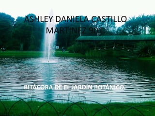 ASHLEY DANIELA CASTILLO
MARTINEZ 901.
BITÁCORA DE EL JARDÍN BOTÁNICO.
 
