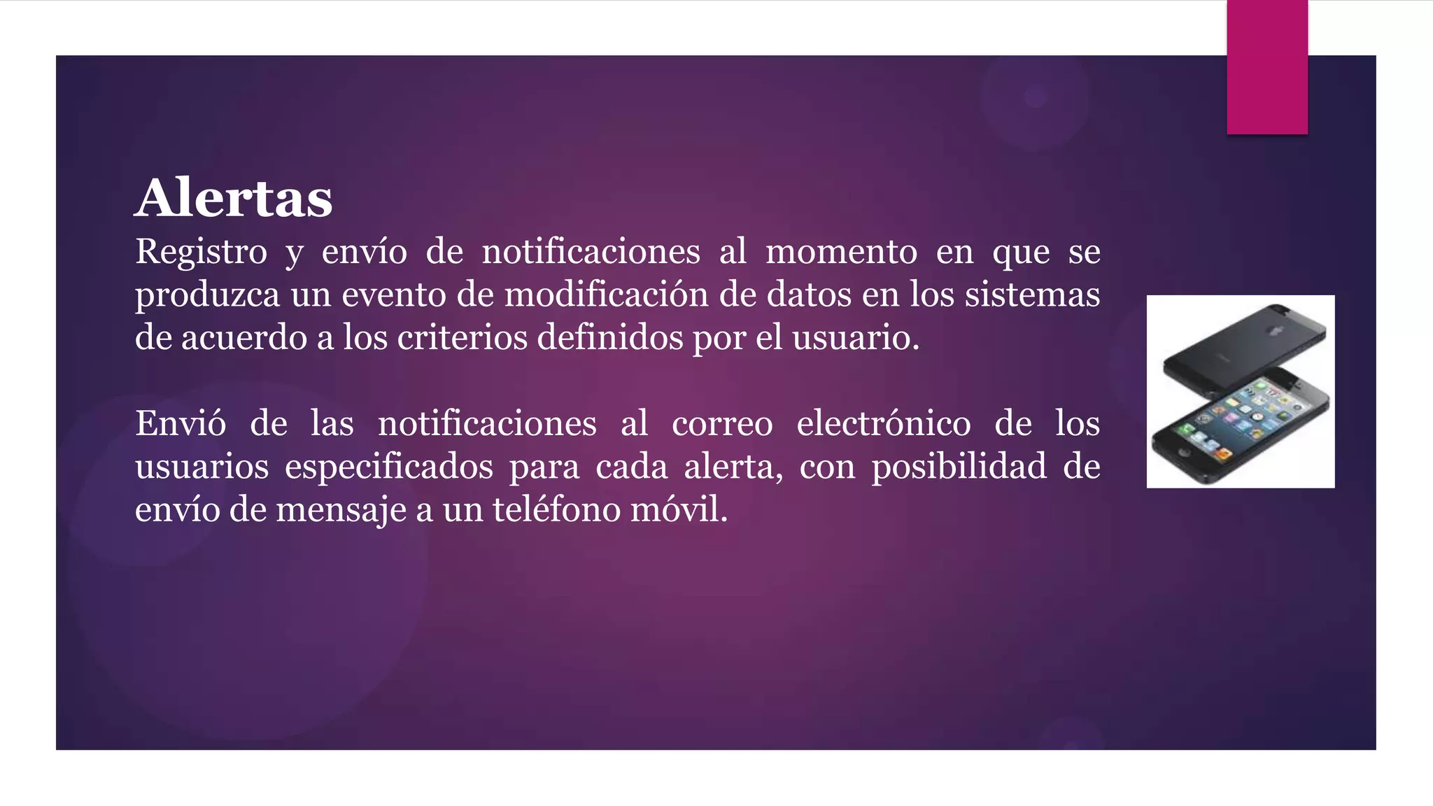 Alertas
Registro y envío de notificaciones al momento en que se
produzca un evento de modificación de datos en los sistemas
de acuerdo a los criterios definidos por el usuario.

Envió de las notificaciones al correo electrónico de los
usuarios especificados para cada alerta, con posibilidad de
envío de mensaje a un teléfono móvil.
 