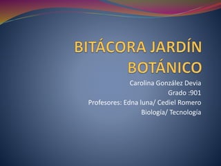 Carolina González Devia
Grado :901
Profesores: Edna luna/ Cediel Romero
Biología/ Tecnología
 