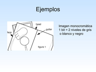 Ejemplos
Imagen monocromática
1 bit = 2 niveles de gris
o blanco y negro
 