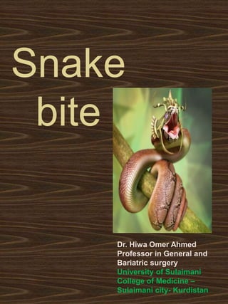 Snake
bite
Dr. Hiwa Omer Ahmed
Professor in General and
Bariatric surgery
University of Sulaimani
College of Medicine –
Sulaimani city- Kurdistan
 