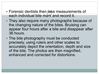  Forensic dentists then take measurements of
each individual bite mark and record it.
 They also require many photographs because of
the changing nature of the bites. Bruising can
appear four hours after a bite and disappear after
36 hours.
 The bite photography must be conducted
precisely, using rulers and other scales to
accurately depict the orientation, depth and size
of the bite. The photos are then magnified,
enhanced and corrected for distortions.
 