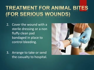 2. Cover the wound with a
sterile dressing or a non
fluffy clean pad
bandaged in place to
control bleeding.
3. Arrange to take or send
the casualty to hospital.
 