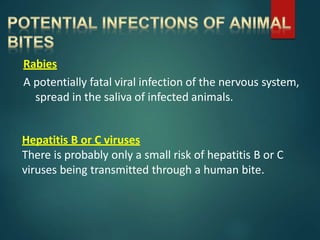 Rabies
A potentially fatal viral infection of the nervous system,
spread in the saliva of infected animals.
Hepatitis B or C viruses
There is probably only a small risk of hepatitis B or C
viruses being transmitted through a human bite.
 