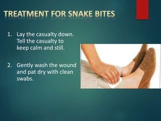1. Lay the casualty down.
Tell the casualty to
keep calm and still.
2. Gently wash the wound
and pat dry with clean
swabs.
 