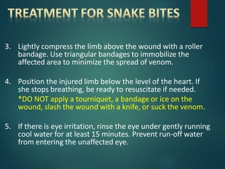 3. Lightly compress the limb above the wound with a roller
bandage. Use triangular bandages to immobilize the
affected area to minimize the spread of venom.
4. Position the injured limb below the level of the heart. If
she stops breathing, be ready to resuscitate if needed.
*DO NOT apply a tourniquet, a bandage or ice on the
wound, slash the wound with a knife, or suck the venom.
5. If there is eye irritation, rinse the eye under gently running
cool water for at least 15 minutes. Prevent run-off water
from entering the unaffected eye.
 