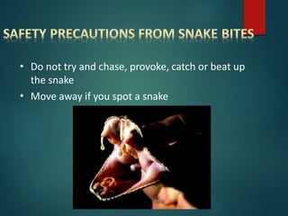 •
•
Do not try and chase, provoke, catch or beat up
the snake
Move away if you spot a snake
 