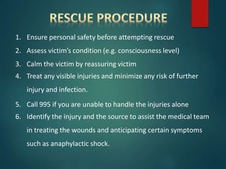 1. Ensure personal safety before attempting rescue
2. Assess victim’s condition (e.g. consciousness level)
3. Calm the victim by reassuring victim
4. Treat any visible injuries and minimize any risk of further
injury and infection.
5. Call 995 if you are unable to handle the injuries alone
6. Identify the injury and the source to assist the medical team
in treating the wounds and anticipating certain symptoms
such as anaphylactic shock.
 