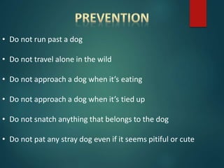 • Do not run past a dog
• Do not travel alone in the wild
• Do not approach a dog when it’s eating
• Do not approach a dog when it’s tied up
• Do not snatch anything that belongs to the dog
• Do not pat any stray dog even if it seems pitiful or cute
 