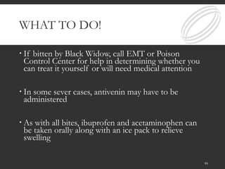 WHAT TO DO!
 If bitten by Black Widow, call EMT or Poison
Control Center for help in determining whether you
can treat it yourself or will need medical attention
 In some sever cases, antivenin may have to be
administered
 As with all bites, ibuprofen and acetaminophen can
be taken orally along with an ice pack to relieve
swelling
11
 