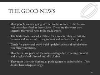 THE GOOD NEWS
 Most people are not going to react to the venom of the brown
recluse as described in these slides. These are the worst case
scenario that we all need to be made aware.
 The fiddle back is called a recluse for a reason. They do not like
humans and are mainly trying to hunt and ambush their prey.
 Watch for paper and wood build up debris piles and mind where
you place your hands.
 Most bites take place on the torso and legs due to getting dressed
and a recluse had climbed into the clothes.
 They must use your clothing to push against to deliver a bite. They
do not have adequate fangs.
14
 