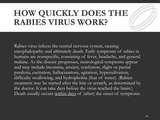 HOW QUICKLY DOES THE
RABIES VIRUS WORK?
Rabies virus infects the central nervous system, causing
encephalopathy and ultimately death. Early symptoms of rabies in
humans are nonspecific, consisting of fever, headache, and general
malaise. As the disease progresses, neurological symptoms appear
and may include insomnia, anxiety, confusion, slight or partial
paralysis, excitation, hallucinations, agitation, hypersalivation,
difficulty swallowing, and hydrophobia (fear of water). (Rabies
treatment may be started after the bite or scratch, as determined by
the doctor. It can take days before the virus reached the brain.)
Death usually occurs within days of (after) the onset of symptoms
43
 