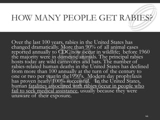 HOW MANY PEOPLE GET RABIES?
Over the last 100 years, rabies in the United States has
changed dramatically. More than 90% of all animal cases
reported annually to CDC now occur in wildlife; before 1960
the majority were in domestic animals. The principal rabies
hosts today are wild carnivores and bats. The number of
rabies-related human deaths in the United States has declined
from more than 100 annually at the turn of the century to
one or two per year in the1990's. Modern day prophylaxis
has proven nearly 100% successful. In the United States,
human fatalities associated with rabies occur in people who
fail to seek medical assistance, usually because they were
unaware of their exposure.
44
 