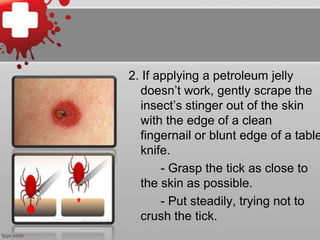 2. If applying a petroleum jelly
doesn’t work, gently scrape the
insect’s stinger out of the skin
with the edge of a clean
fingernail or blunt edge of a table
knife.
- Grasp the tick as close to
the skin as possible.
- Put steadily, trying not to
crush the tick.

 