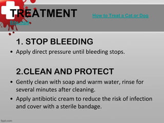 TREATMENT

How to Treat a Cat or Dog

Bite.mp4

1. STOP BLEEDING
• Apply direct pressure until bleeding stops.

2.CLEAN AND PROTECT
• Gently clean with soap and warm water, rinse for
several minutes after cleaning.
• Apply antibiotic cream to reduce the risk of infection
and cover with a sterile bandage.

 