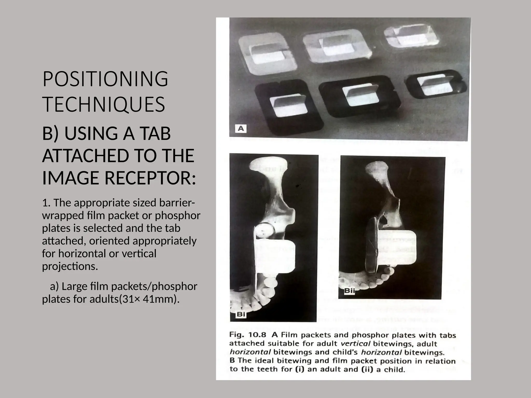 POSITIONING
TECHNIQUES
B) USING A TAB
ATTACHED TO THE
IMAGE RECEPTOR:
1. The appropriate sized barrier-
wrapped film packet or phosphor
plates is selected and the tab
attached, oriented appropriately
for horizontal or vertical
projections.
a) Large film packets/phosphor
plates for adults(31× 41mm).
 