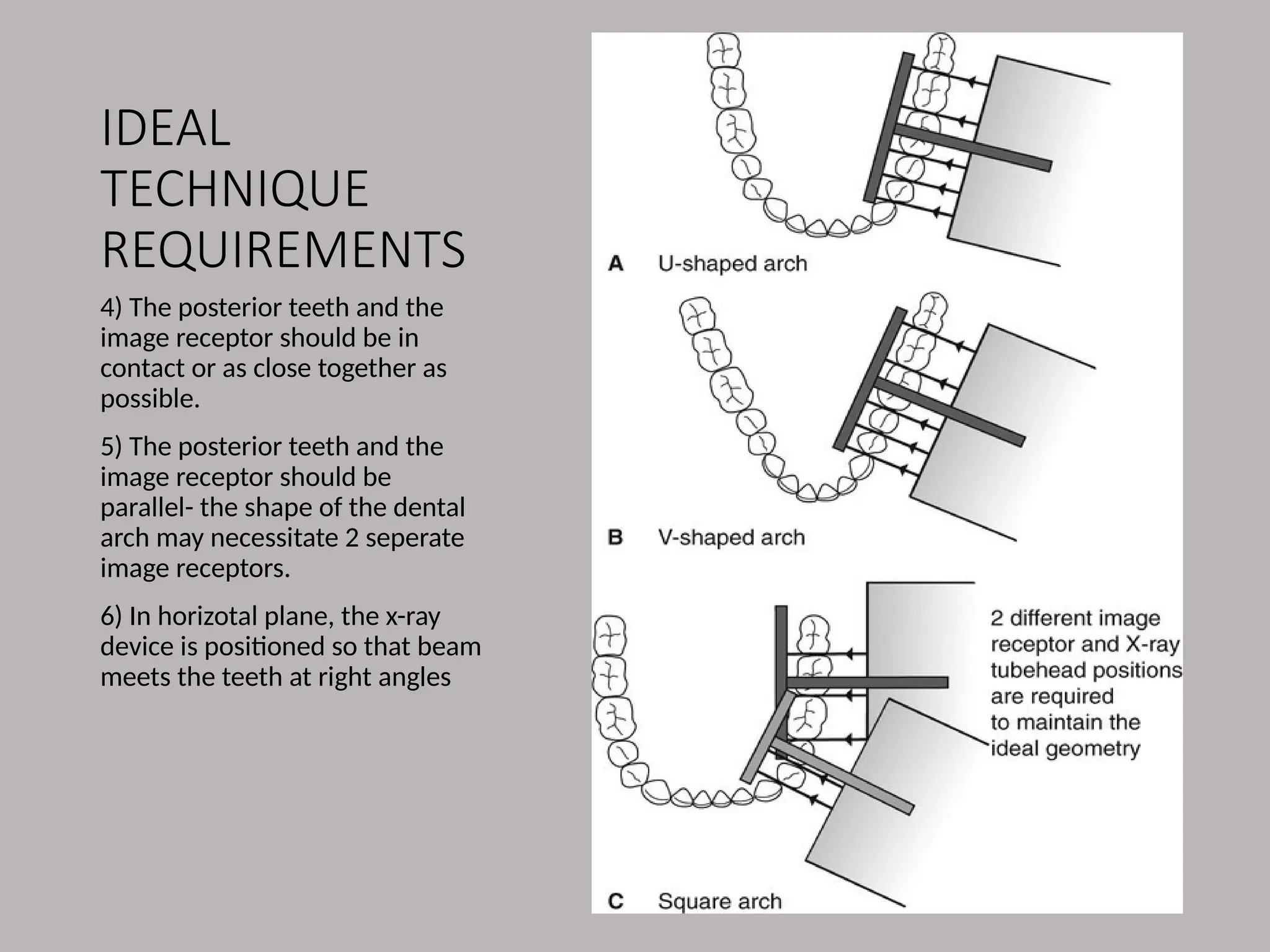 IDEAL
TECHNIQUE
REQUIREMENTS
4) The posterior teeth and the
image receptor should be in
contact or as close together as
possible.
5) The posterior teeth and the
image receptor should be
parallel- the shape of the dental
arch may necessitate 2 seperate
image receptors.
6) In horizotal plane, the x-ray
device is positioned so that beam
meets the teeth at right angles
 