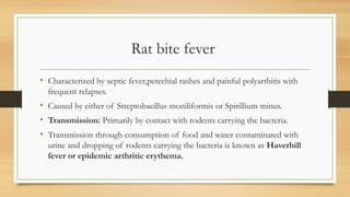 Rat Scratch Fever Rash Bite wound infection final ppt.pptx medical | PPTX