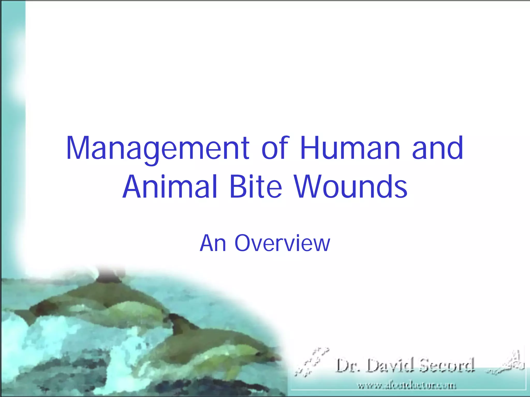 Bite Wound Lecture
