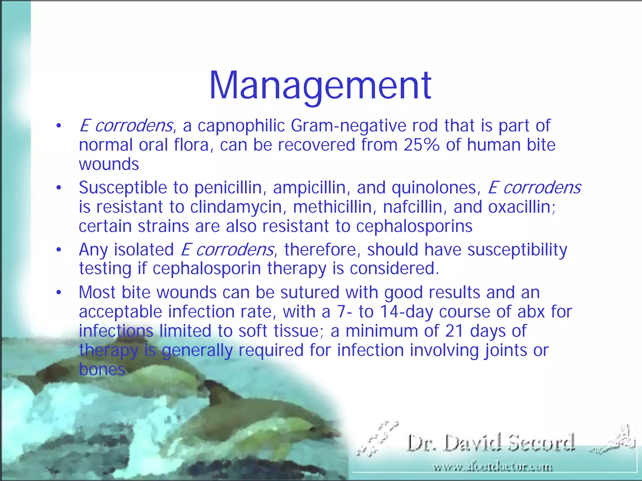 Bite Wound Lecture