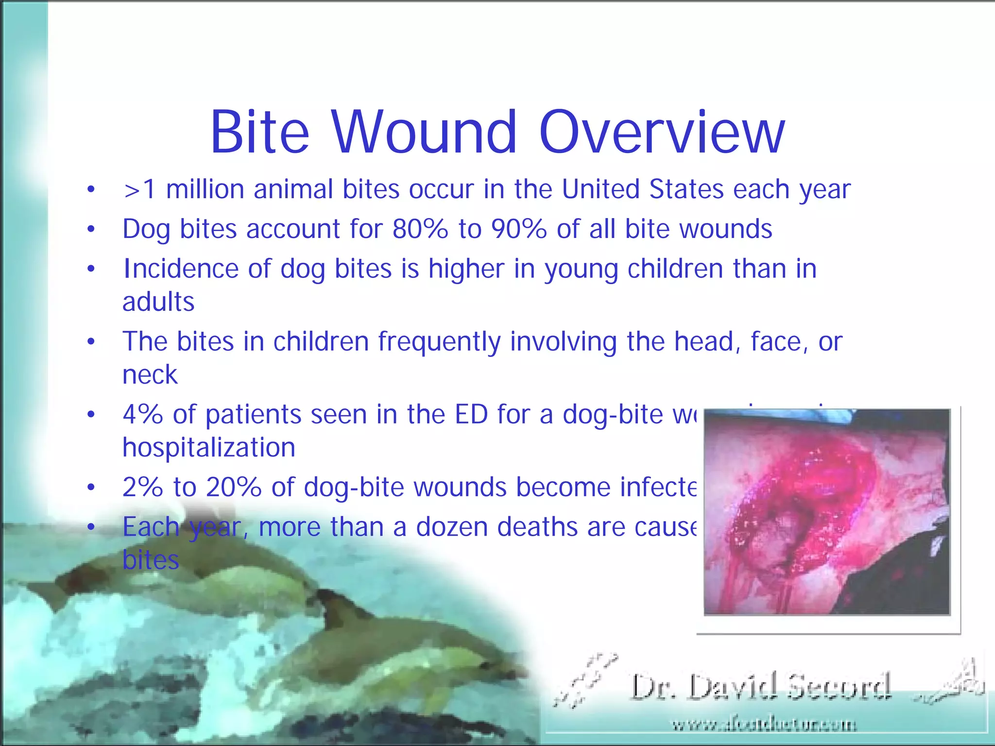 Bite Wound Lecture