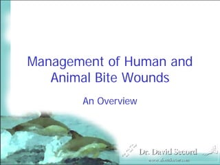 Management of Human and
   Animal Bite Wounds
       An Overview
 