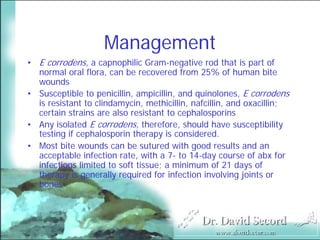 Bite Wound Lecture