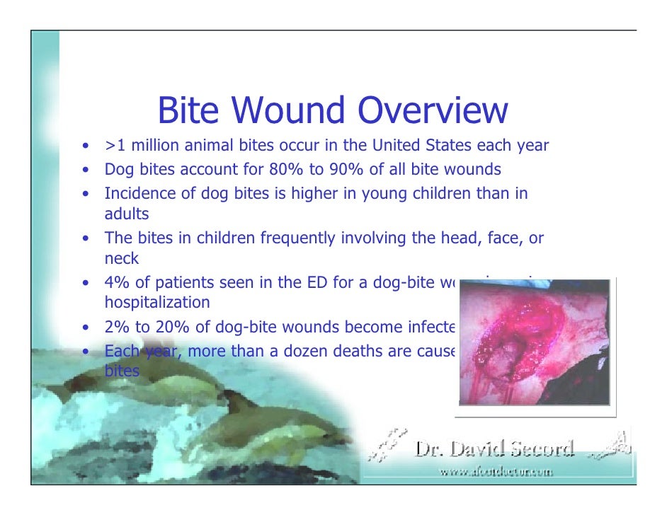 Dog Bite Management Dog Bite Management
